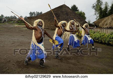 Traditional dancers during a folklore event in a village of former hunters near the village of Kinigi on the edge of the Volcanoes National Park, Parc National des Volcans, Rwanda, Africa View Large Photo Image Stock Photo - Traditional dancers during a folklore event in a village of former hunters near the village of Kinigi on the edge of the Volcanoes National Park, Parc National des Volcans, Rwanda, Africa. Fotosearch