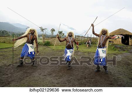 Traditional dancers during a folklore event in a village of former hunters near the village of Kinigi on the edge of the Volcanoes National Park, Parc National des Volcans, Rwanda, Africa View Large Photo Image Stock Photograph - Traditional dancers during a folklore event in a village of former hunters near the village of Kinigi on the edge of the Volcanoes National Park, Parc National des Volcans, Rwanda, Africa. Fotosearch