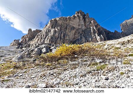 Tre Cime di Lavaredo, Drei Zinnen, Dolomites, Italy, Europe View Large Photo Image Stock Image - Tre Cime di Lavaredo, Drei Zinnen, Dolomites, Italy, Europe. Fotosearch