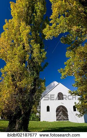 Trees in front of a wine cellar, Twee Jonge Gezellen wine estate, Tulbagh, Western Cape, South Africa, Africa View Large Photo Image Stock Photo - Trees in front of a wine cellar, Twee Jonge Gezellen wine estate, Tulbagh, Western Cape, South Africa, Africa. Fotosearch