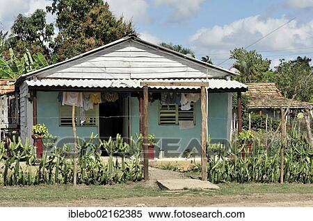 Stock Photography - Typical Cuban house with a cacti hedge, near Trinidad, Sancti Spiritus Province, Cuba, Greater Antilles, Central America, America, North America. Fotosearch