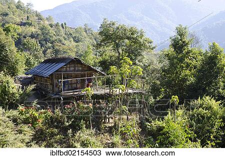 Stock Image - Typical house of the Nishi tribe, Tago village, Arunachal Pradesh, India, Asia. Fotosearch