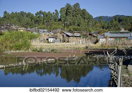 Typical village structure of the Apatani tribe in Ziro region, Hari village, Arunachal Pradesh, India, Asia View Large Photo Image Stock Image - Typical village structure of the Apatani tribe in Ziro region, Hari village, Arunachal Pradesh, India, Asia. Fotosearch