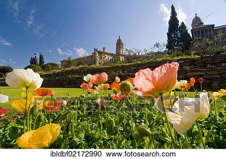 Union Buildings, Pretoria, Gauteng, South Africa, Africa View Large Photo Image Stock Image - Union Buildings, Pretoria, Gauteng, South Africa, Africa. Fotosearch