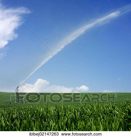 Watering system watering a field, Limagne, Auvergne, France, Europe View Large Photo Image Stock Image - Watering system watering a field, Limagne, Auvergne, France, Europe. Fotosearch