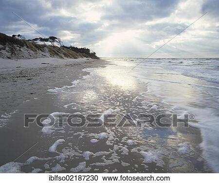 Western beach of Darss peninsula, Western Pomerania Lagoon Area National Park, Mecklenburg-Western Pomerania, Baltic Sea, Germany, Europe View Large Photo Image Stock Image - Western beach of Darss peninsula, Western Pomerania Lagoon Area National Park, Mecklenburg-Western Pomerania, Baltic Sea, Germany, Europe. Fotosearch
