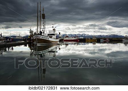 Whale watching boat in the port of Húsavík, Norðurland, Nordurland eystra, North-East Iceland, Iceland, Europe View Large Photo Image Stock Image - Whale watching boat in the port of Húsavík, Norðurland, Nordurland eystra, North-East Iceland, Iceland, Europe. Fotosearch