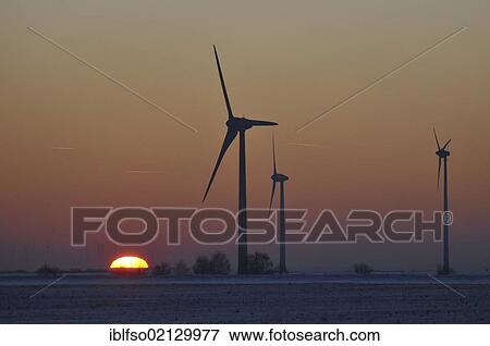 Wind turbines in a field at sunset in winter, Germany, Europe View Large Photo Image Stock Photo - Wind turbines in a field at sunset in winter, Germany, Europe. Fotosearch