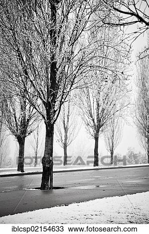 Winter time in Sant Cugat del Valles, Barcelona, Catalonia, Spain, Europe View Large Photo Image Stock Image - Winter time in Sant Cugat del Valles, Barcelona, Catalonia, Spain, Europe. Fotosearch