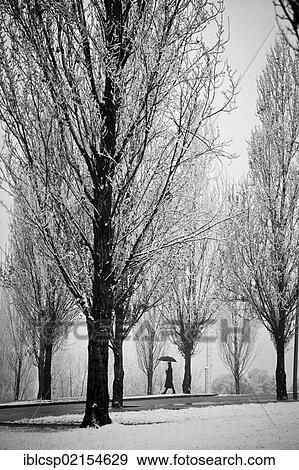 Winter time in Sant Cugat del Valles, Barcelona, Catalonia, Spain, Europe View Large Photo Image Stock Photo - Winter time in Sant Cugat del Valles, Barcelona, Catalonia, Spain, Europe. Fotosearch