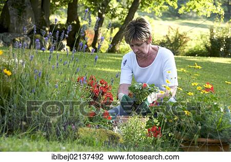 Stock Image - Woman gardening. Fotosearch