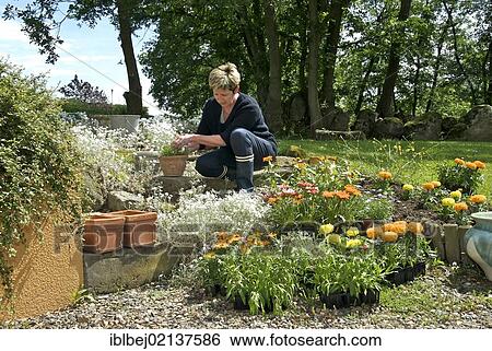 Stock Photograph - Woman gardening. Fotosearch