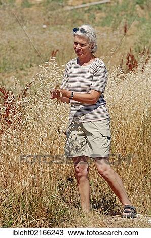 Woman picking dried grass, Sault, Vaucluse, Provence-Alpes-Cote d'Azur, Southern France, France, Europe, PublicGround, Europe View Large Photo Image Stock Image - Woman picking dried grass, Sault, Vaucluse, Provence-Alpes-Cote d'Azur, Southern France, France, Europe, PublicGround, Europe. Fotosearch