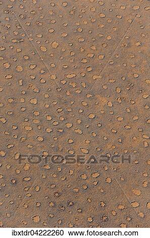 Aerial view from a hot-air balloon at the edge of the Namib Desert, Fairy Circles, circular patches without any vegetation which according to recent scientific studies are caused by termites, NamibRand Nature Reserve, Namibia, Africa View Large Photo Image Stock Image - Aerial view from a hot-air balloon at the edge of the Namib Desert, Fairy Circles, circular patches without any vegetation which according to recent scientific studies are caused by termites, NamibRand Nature Reserve, Namibia, Africa. Fotosearch