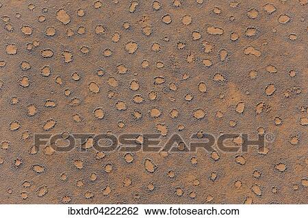 Aerial view from a hot-air balloon at the edge of the Namib Desert, Fairy Circles, circular patches without any vegetation which according to recent scientific studies are caused by termites, NamibRand Nature Reserve, Namibia, Africa View Large Photo Image Stock Image - Aerial view from a hot-air balloon at the edge of the Namib Desert, Fairy Circles, circular patches without any vegetation which according to recent scientific studies are caused by termites, NamibRand Nature Reserve, Namibia, Africa. Fotosearch