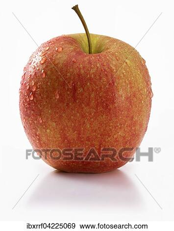 Stock Photo - Apple (Malus), white background. Fotosearch