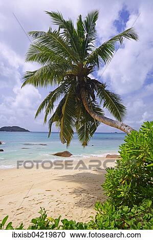 Stock Image - Beach and palm trees at Anse Boudin, Praslin Island, Seychelles, Africa. Fotosearch