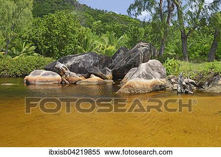 Brackish lagoon on the beach of Anse Lazio, Praslin Island, Seychelles, Africa View Large Photo Image Stock Photography - Brackish lagoon on the beach of Anse Lazio, Praslin Island, Seychelles, Africa. Fotosearch