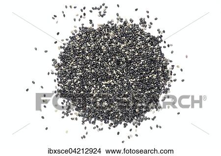Chia seeds (Salvia hispanica) View Large Photo Image Picture - Chia seeds (Salvia hispanica). Fotosearch