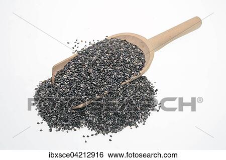 Chia seeds (Salvia hispanica) View Large Photo Image Stock Photograph - Chia seeds (Salvia hispanica). Fotosearch