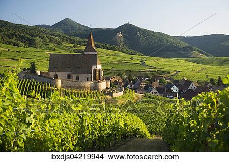 Church within the vineyards, Gothic fortified church of Saint-Jacques, Hunawihr, Alsace, France, Europe View Large Photo Image Picture - Church within the vineyards, Gothic fortified church of Saint-Jacques, Hunawihr, Alsace, France, Europe. Fotosearch
