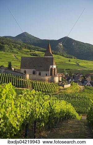 Church within the vineyards, Gothic fortified church of Saint-Jacques, Hunawihr, Alsace, France, Europe View Large Photo Image Stock Image - Church within the vineyards, Gothic fortified church of Saint-Jacques, Hunawihr, Alsace, France, Europe. Fotosearch