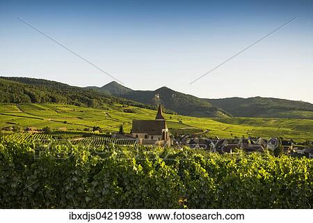 Church within the vineyards, Gothic fortified church of Saint-Jacques, Hunawihr, Alsace, France, Europe View Large Photo Image Stock Photo - Church within the vineyards, Gothic fortified church of Saint-Jacques, Hunawihr, Alsace, France, Europe. Fotosearch