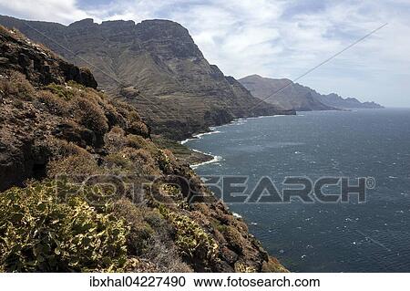 Cliffs, steep coast, northwest, Gran Canaria, Canary Islands, Spain, Europe View Large Photo Image Stock Image - Cliffs, steep coast, northwest, Gran Canaria, Canary Islands, Spain, Europe. Fotosearch