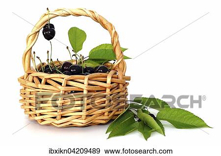 Dark red cherries with leaves in a wicker basket View Large Photo Image Stock Photo - Dark red cherries with leaves in a wicker basket. Fotosearch