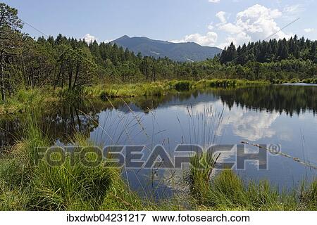 Deep lake, nature reserve Gschwender Fliz in front of Hornle in Saulgrub, Upper Bavaria, Bavaria, Germany, Europe View Large Photo Image Stock Photo - Deep lake, nature reserve Gschwender Fliz in front of Hornle in Saulgrub, Upper Bavaria, Bavaria, Germany, Europe. Fotosearch