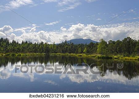 Deep lake, nature reserve Gschwender Fliz in front of the High Bleick, Trauchgauer mountains, Saulgrub, Upper Bavaria, Bavaria, Germany, Europe View Large Photo Image Stock Photograph - Deep lake, nature reserve Gschwender Fliz in front of the High Bleick, Trauchgauer mountains, Saulgrub, Upper Bavaria, Bavaria, Germany, Europe. Fotosearch