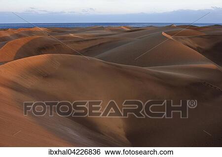Dunes, Maspalomas, structures in the sand, nature reserve, evening light, Gran Canaria, Canary Islands, Spain, Europe View Large Photo Image Stock Photograph - Dunes, Maspalomas, structures in the sand, nature reserve, evening light, Gran Canaria, Canary Islands, Spain, Europe. Fotosearch