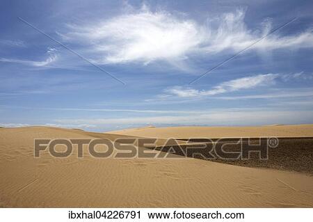 Dunes, sand dunes of Maspalomas, cloud formation, nature reserve, Gran Canaria, Canary Islands, Spain, Europe View Large Photo Image Stock Image - Dunes, sand dunes of Maspalomas, cloud formation, nature reserve, Gran Canaria, Canary Islands, Spain, Europe. Fotosearch