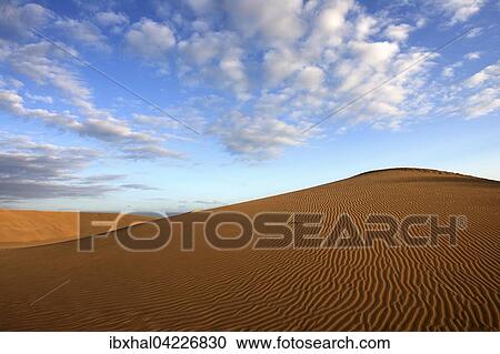 Dunes, sand dunes of Maspalomas, cloud formation, structures in the sand, evening light, nature reserve, Gran Canaria, Canary Islands, Spain, Europe View Large Photo Image Stock Image - Dunes, sand dunes of Maspalomas, cloud formation, structures in the sand, evening light, nature reserve, Gran Canaria, Canary Islands, Spain, Europe. Fotosearch