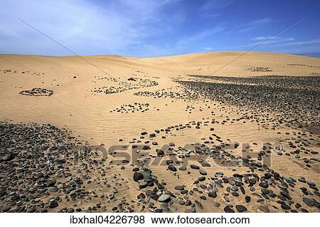 Dunes, sand dunes of Maspalomas, cloud formation, black stones in the sand, nature reserve, Gran Canaria, Canary Islands, Spain, Europe View Large Photo Image Stock Photo - Dunes, sand dunes of Maspalomas, cloud formation, black stones in the sand, nature reserve, Gran Canaria, Canary Islands, Spain, Europe. Fotosearch