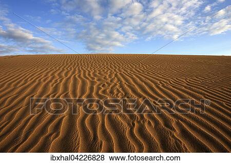 Dunes, sand dunes of Maspalomas, cloud formation, structures in the sand, evening light, nature reserve, Gran Canaria, Canary Islands, Spain, Europe View Large Photo Image Stock Photo - Dunes, sand dunes of Maspalomas, cloud formation, structures in the sand, evening light, nature reserve, Gran Canaria, Canary Islands, Spain, Europe. Fotosearch