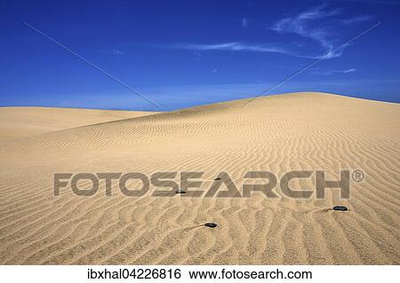 Dunes, sand dunes of Maspalomas, cloud formation, structures and stones in the sand, nature reserve, Gran Canaria, Canary Islands, Spain, Europe View Large Photo Image Stock Photograph - Dunes, sand dunes of Maspalomas, cloud formation, structures and stones in the sand, nature reserve, Gran Canaria, Canary Islands, Spain, Europe. Fotosearch
