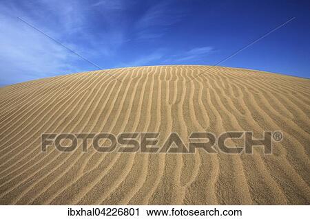 Dunes, sand dunes of Maspalomas, structures in the sand, nature reserve, Gran Canaria, Canary Islands, Spain, Europe View Large Photo Image Stock Image - Dunes, sand dunes of Maspalomas, structures in the sand, nature reserve, Gran Canaria, Canary Islands, Spain, Europe. Fotosearch