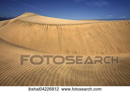Stock Image - Dunes, sand dunes of Maspalomas, structures in the sand, nature reserve, Gran Canaria, Canary Islands, Spain, Europe. Fotosearch