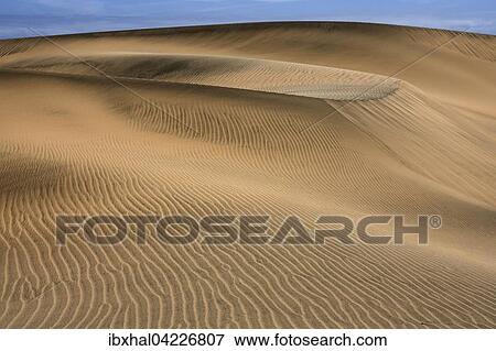 Dunes, sand dunes of Maspalomas, structures in the sand, nature reserve, Gran Canaria, Canary Islands, Spain, Europe View Large Photo Image Stock Photo - Dunes, sand dunes of Maspalomas, structures in the sand, nature reserve, Gran Canaria, Canary Islands, Spain, Europe. Fotosearch