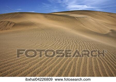 Dunes, sand dunes of Maspalomas, structures in the sand, nature reserve, Gran Canaria, Canary Islands, Spain, Europe View Large Photo Image Stock Photo - Dunes, sand dunes of Maspalomas, structures in the sand, nature reserve, Gran Canaria, Canary Islands, Spain, Europe. Fotosearch