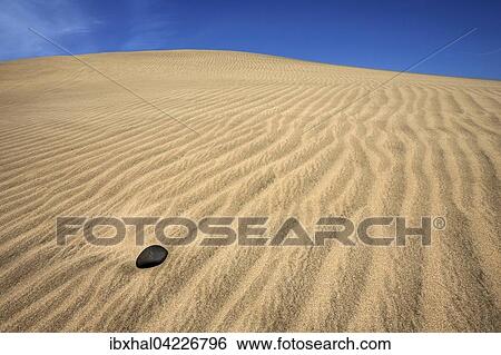 Dunes, sand dunes of Maspalomas, stone and structures in the sand, nature reserve, Gran Canaria, Canary Islands, Spain, Europe View Large Photo Image Stock Photograph - Dunes, sand dunes of Maspalomas, stone and structures in the sand, nature reserve, Gran Canaria, Canary Islands, Spain, Europe. Fotosearch
