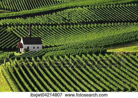 Eichert chapel within the vineyards, Jechtingen, Kaiserstuhl, Baden-Wurttemberg, Germany, Europe View Large Photo Image Stock Photo - Eichert chapel within the vineyards, Jechtingen, Kaiserstuhl, Baden-Wurttemberg, Germany, Europe. Fotosearch