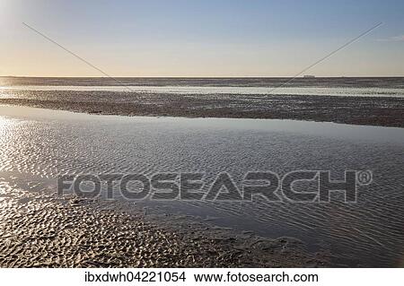 Evening mood in the Lower Saxon Wadden Sea National Park at low tide, Lower Saxony, Germany, Europe View Large Photo Image Picture - Evening mood in the Lower Saxon Wadden Sea National Park at low tide, Lower Saxony, Germany, Europe. Fotosearch