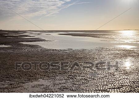 Evening mood in the Lower Saxon Wadden Sea National Park at low tide, Lower Saxony, Germany, Europe View Large Photo Image Stock Image - Evening mood in the Lower Saxon Wadden Sea National Park at low tide, Lower Saxony, Germany, Europe. Fotosearch