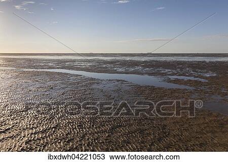 Evening mood in the Lower Saxon Wadden Sea National Park at low tide, Lower Saxony, Germany, Europe View Large Photo Image Stock Image - Evening mood in the Lower Saxon Wadden Sea National Park at low tide, Lower Saxony, Germany, Europe. Fotosearch