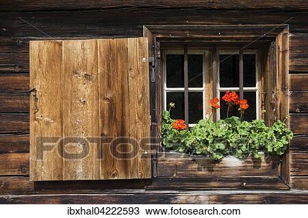 Stock Image - Geraniums at the window of a farmhouse, Eng, Eng-Alm, Karwendel, Tyrol, Austria, Europe. Fotosearch