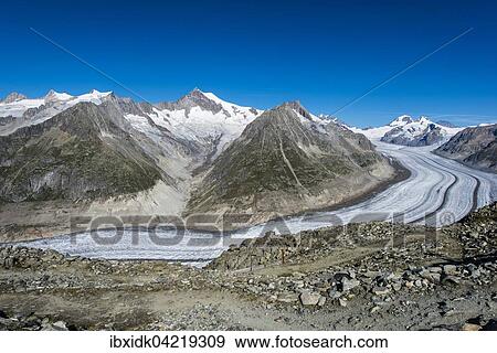 Great Aletsch Glacier, panoramic view in summer from Eggishorn, Eggishorn top station, Bernese Alps, Canton of Valais, Switzerland, Europe View Large Photo Image Stock Photo - Great Aletsch Glacier, panoramic view in summer from Eggishorn, Eggishorn top station, Bernese Alps, Canton of Valais, Switzerland, Europe. Fotosearch