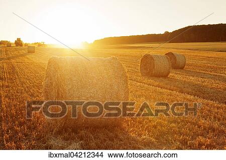 Picture - Hay bales at sunset, Swabian Jura, Baden Wurttemberg, Germany, Europe. Fotosearch