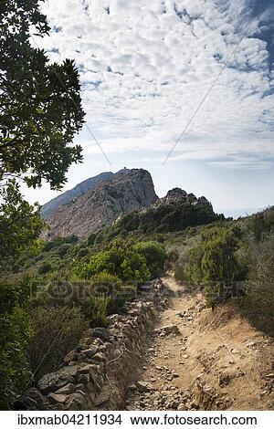 Hiking trail to Genoese tower, coastal and mountain scenery, Gulf of Porto, Corsica, France, Europe View Large Photo Image Picture - Hiking trail to Genoese tower, coastal and mountain scenery, Gulf of Porto, Corsica, France, Europe. Fotosearch